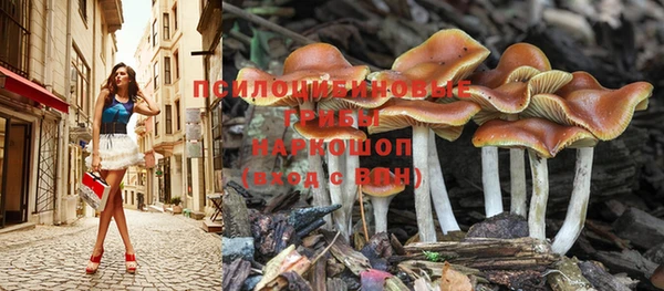 каннабис Богородск