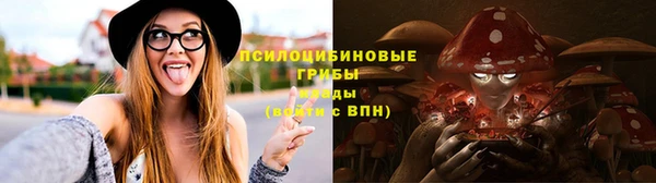 мет Богданович