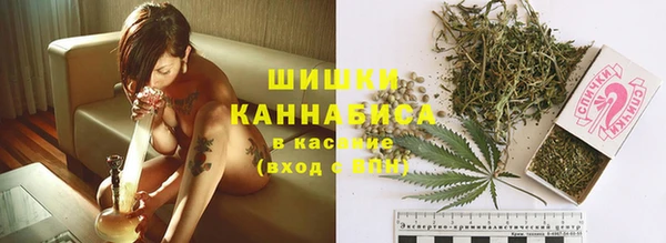 мет Богданович